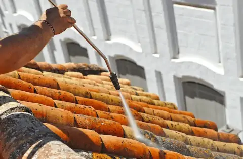 Nettoyage de toitures - Grainville-Langannerie